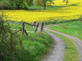 Feldweg